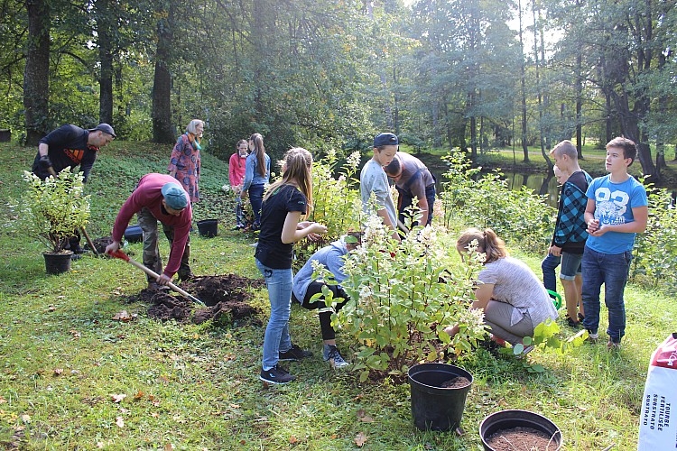 Autors: www.gulbene.lv