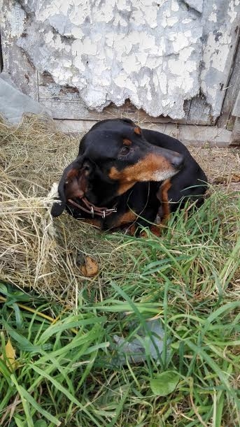 Autors: no personiskā arhīva