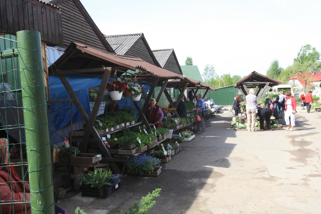 Autors: no Dzirksteles arhīva