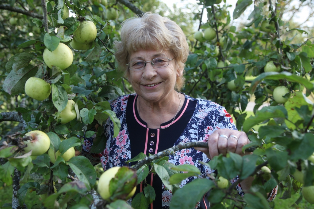 Laima Gavare šo ābeli stādījusi kopā ar vīru, tā varētu būt kā simbols viņas darbam.
Autors: Gatis Bogdanovs