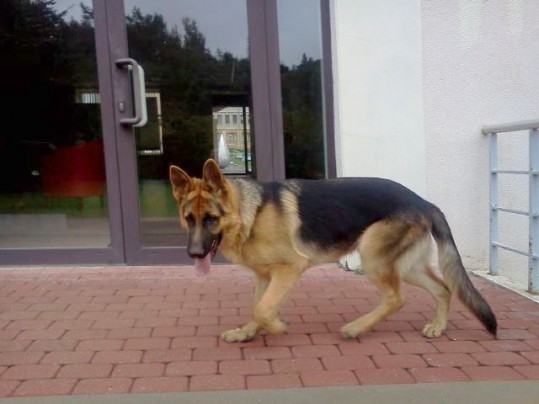 Autors: ilustratīvs