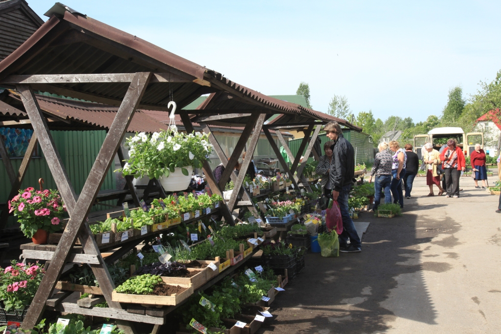 Laika gaitā tirgus organizācija ir pretrunīgi vērtēta, tomēr gan ikdienas tirgus, gan lielais tirgus joprojām ir pieprasīts un tam ir daudz apmeklētāju.      
Autors: no “Dzirksteles” arhīva