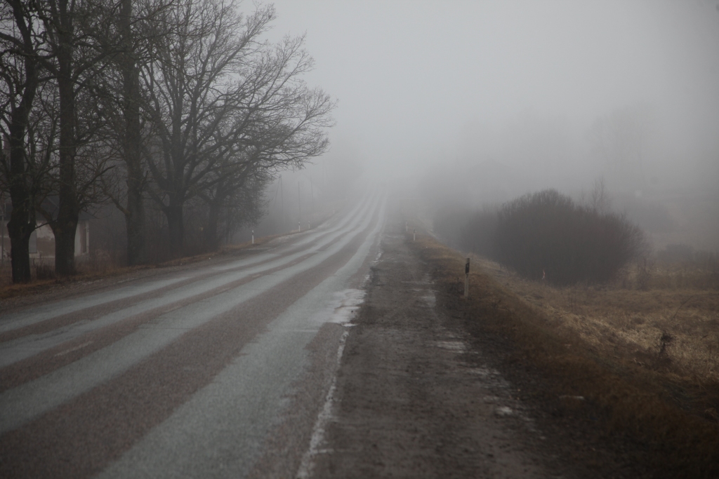 Autors: Ilustratīvs foto