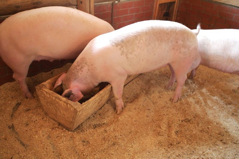 Autors: ilustratīvs