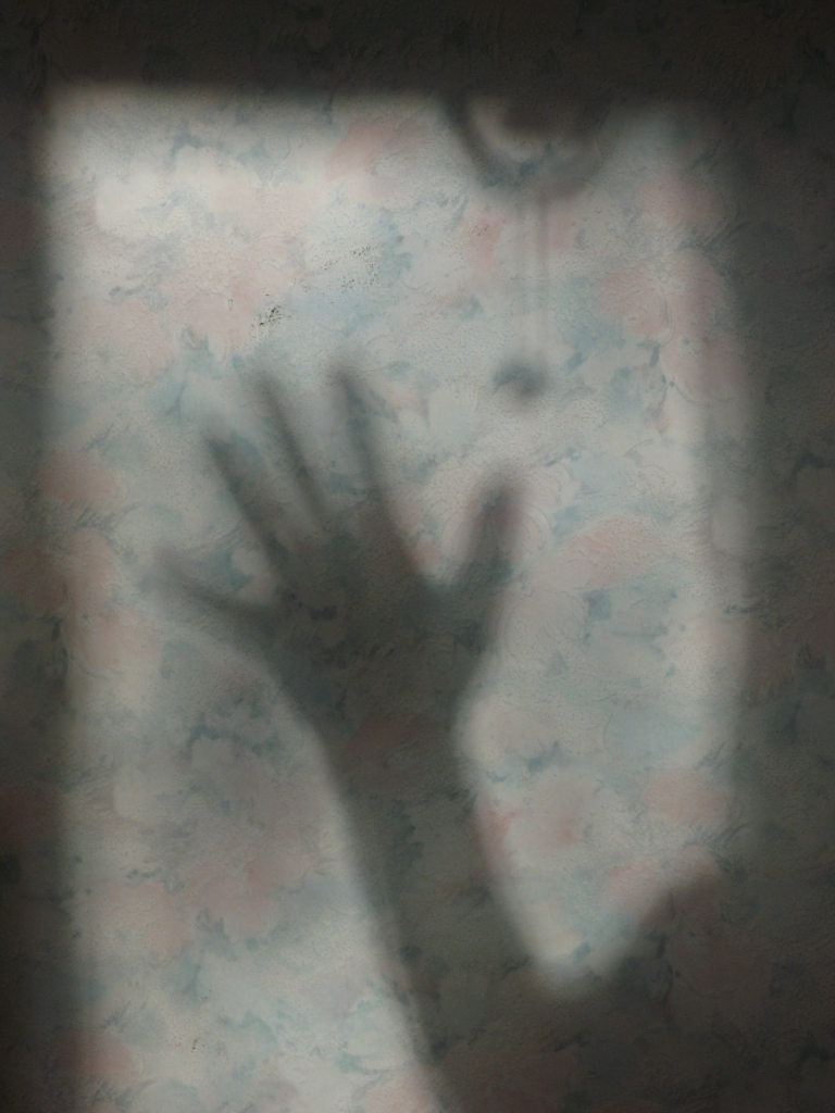 Autors: Pārsla Konrāde