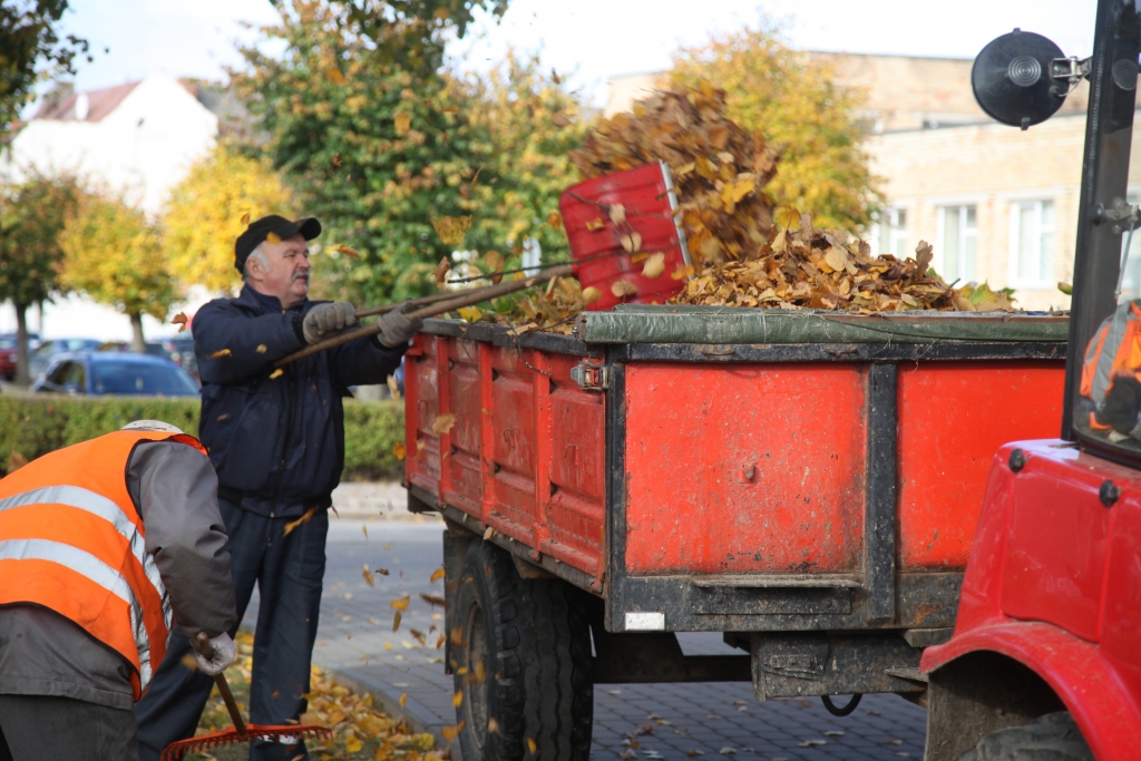 Lapas tiek savāktas un aizvestas uz kompostēšanas laukumu Rēzeknes ielā.          
Autors: Ginta Alberte