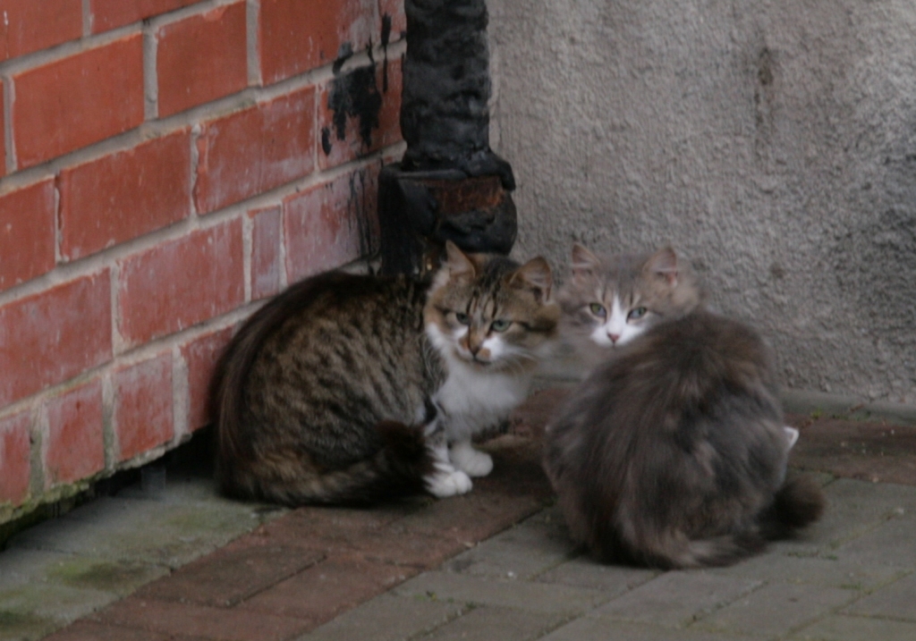 Autors: ilustratīvs