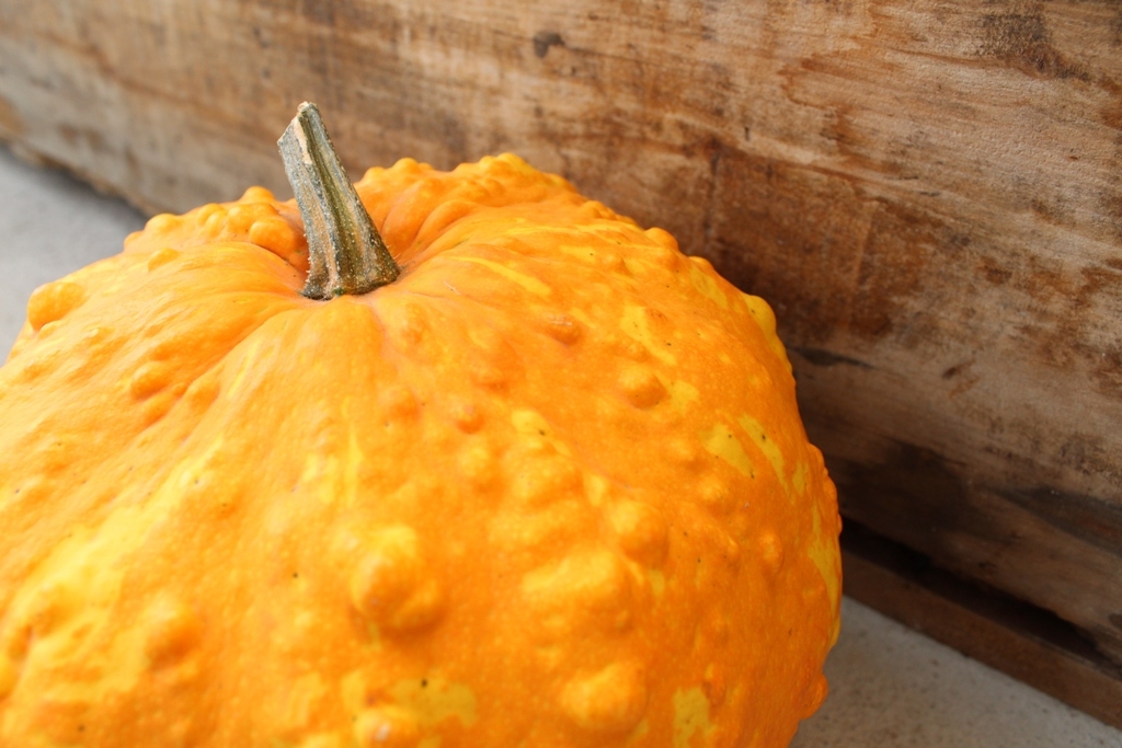 Autors: ilustratīvs