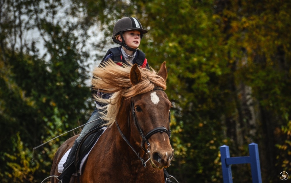 Autors: Kristaps Grūslis