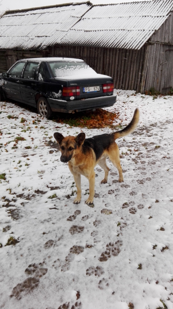 Autors: no personiskā arhīva