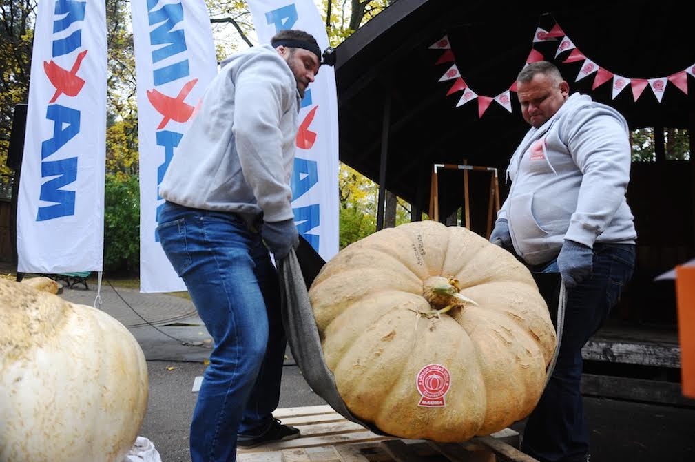 Autors: no  „Maxima Latvija”  arhīva