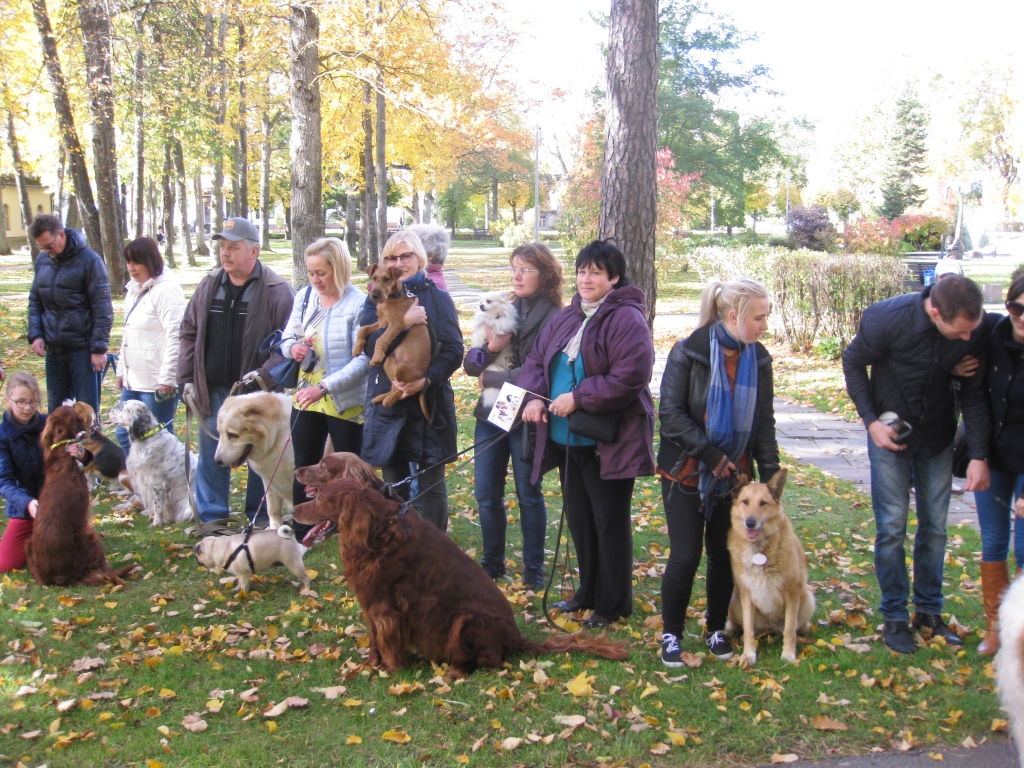 Tradīciju jāturpina! Otro gadu pēc kārtas biedrība “Ķepaiņu draugu klubs” šovasar rīkoja mazo mājdzīvnieku un viņu saimnieku salidojumu Gulbenē. Tā bija jauka kopā būšana, apmaiņa ar informāciju un apliecinājums tam, ka dzīvnieki iederas pilsētas vidē.  
Autors: no “Dzirksteles” arhīva