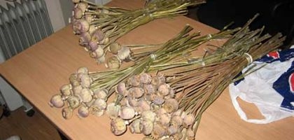 Autors: apollo.lv (ilustratīvs)