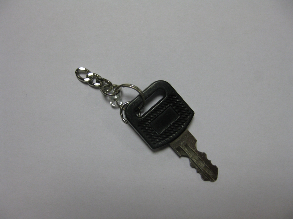 Atslēdziņa gaida īpašnieku!
Autors: Pārsla Konrāde