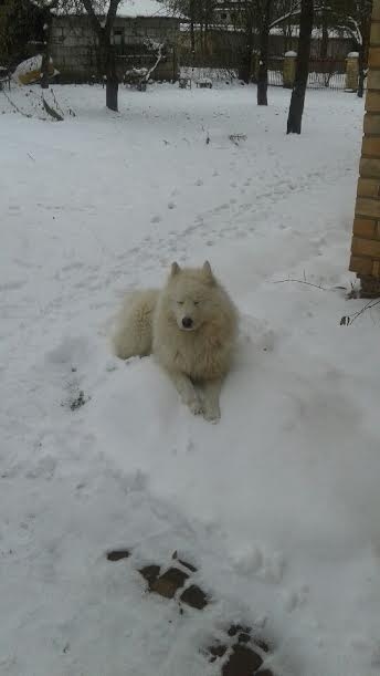 Autors: no personiskā arhīva