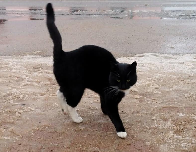 Autors: no personiskā arhīva