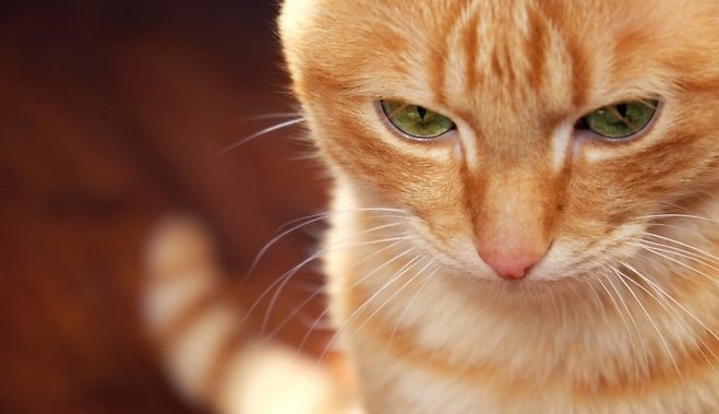 Autors: ilustratīvs