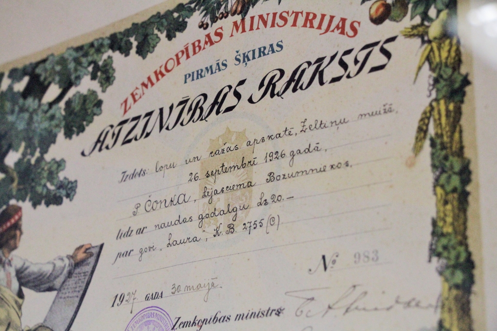 Autors: Sandra Dikmane