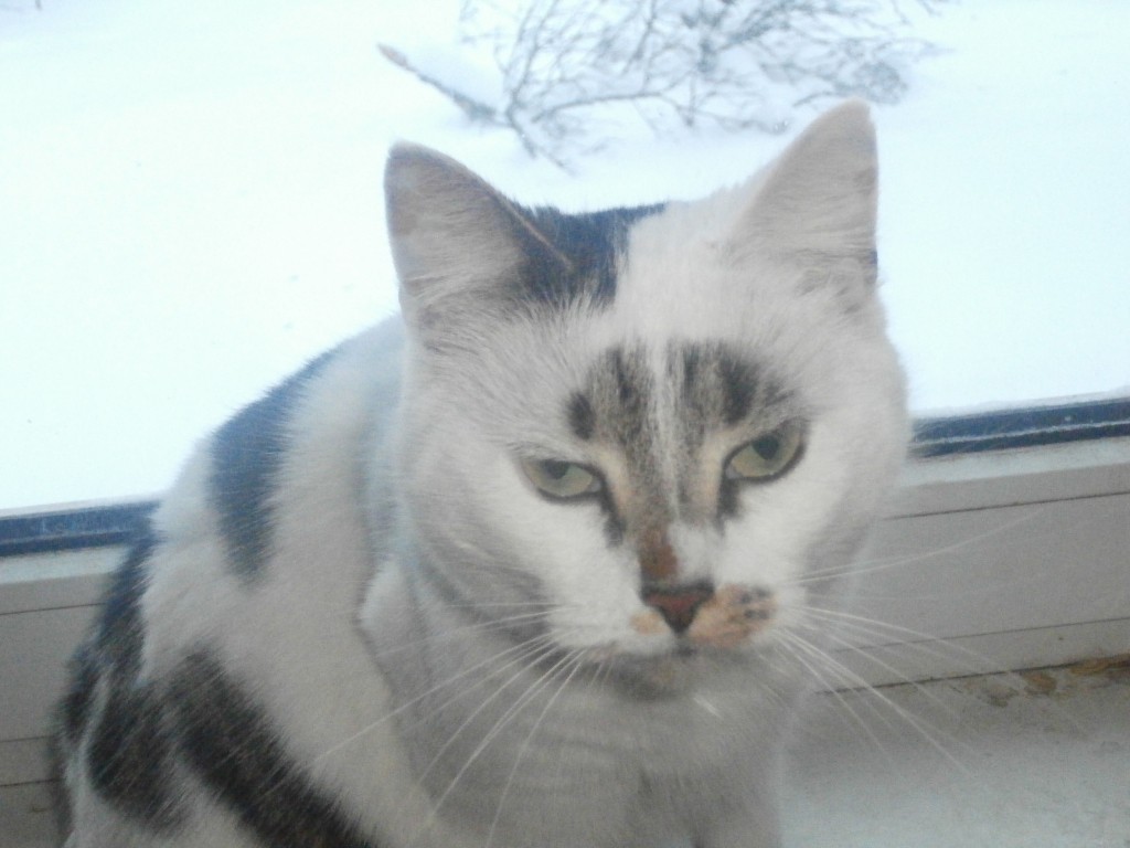 Autors: no personiskā arhīva