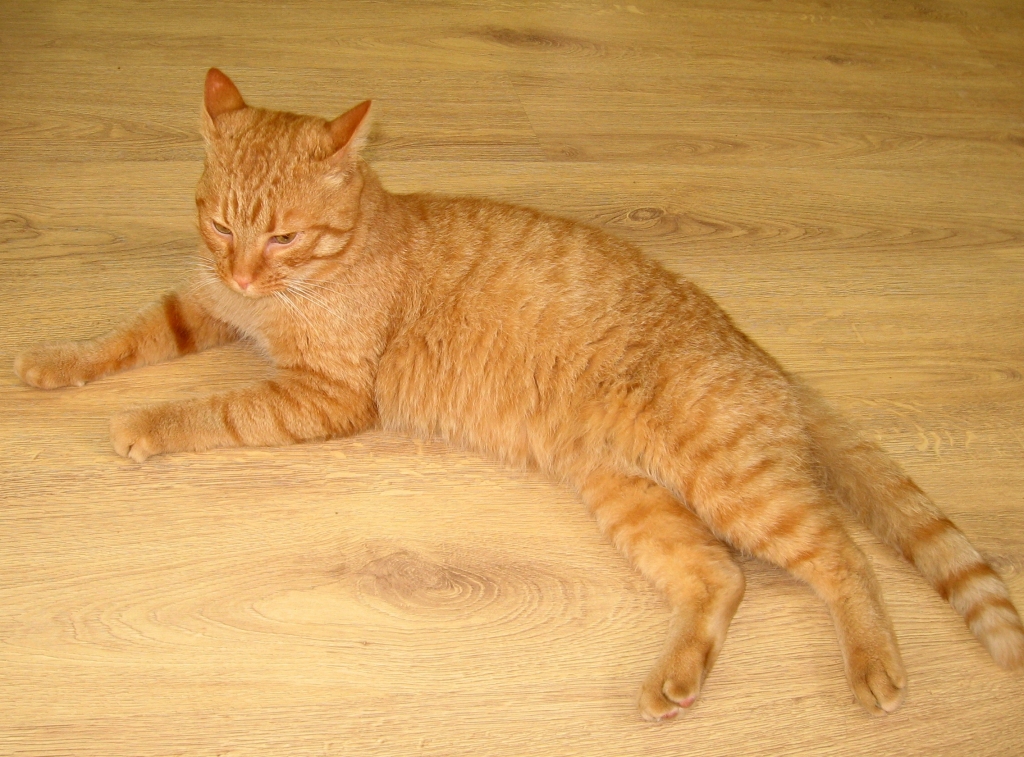 Autors: no personiskā arhīva