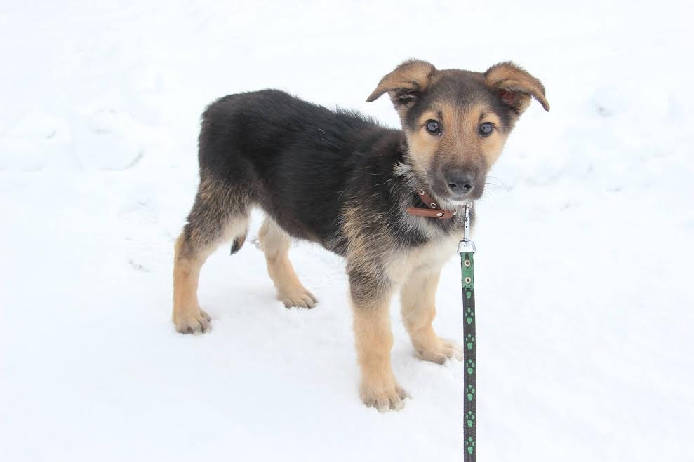 Autors: no personiskā arhīva