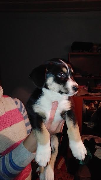 Autors: no personiskā arhīva