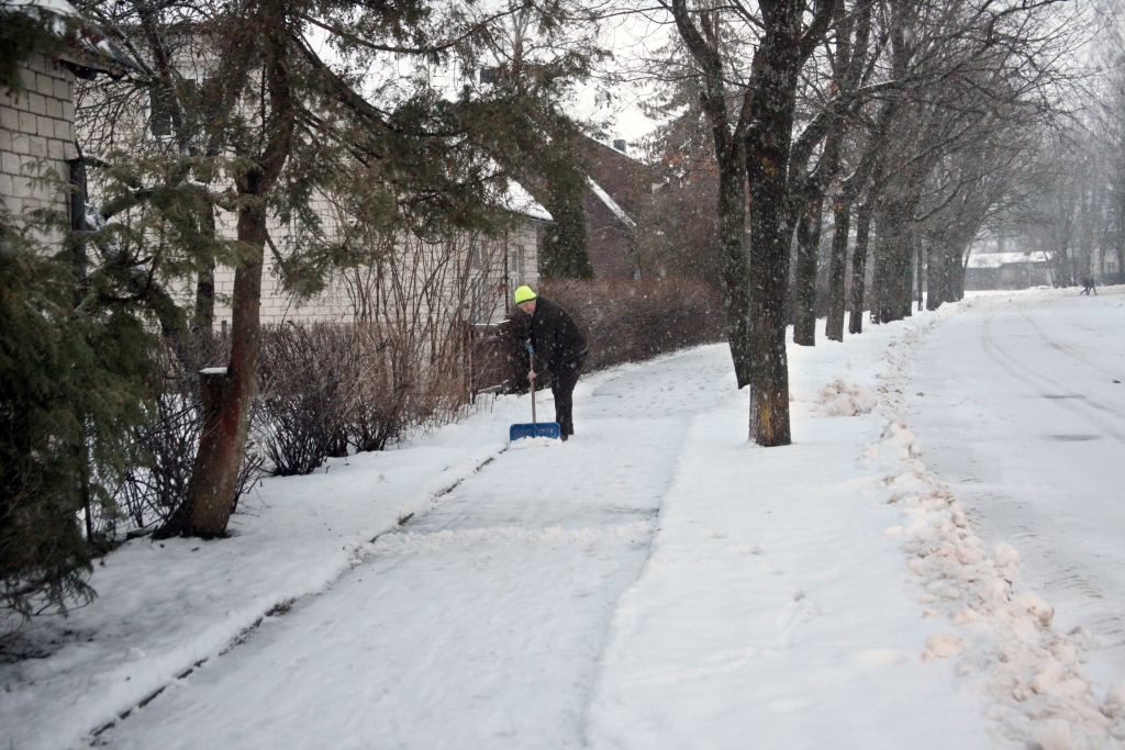 Autors: Ilustratīvs foto 