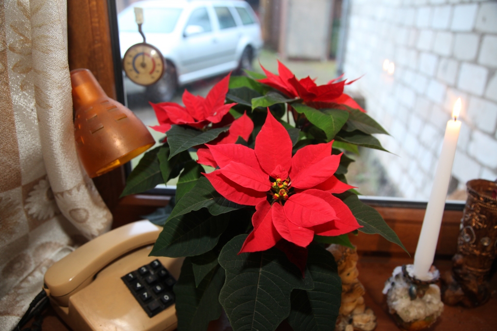 Autors: Gatis Bogdanovs