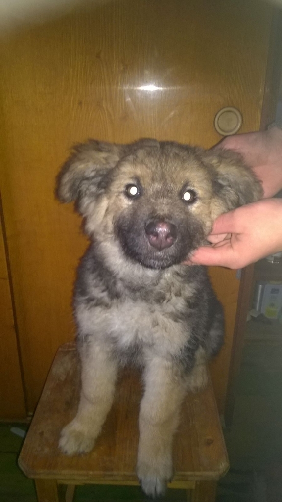 Autors: no personiskā arhīva