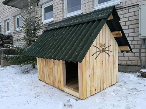 Šāda oriģināla un noderīga dāvana pie Ziemassvētku eglītes mūs sagaidīja ceturtās adventes rītā.
Autors: Dzīvnieku māja 