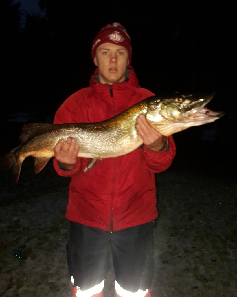 Sandis Biksāns šogad pievērsies ziemas makšķerēšanai un jau guvis iespaidīgu lomu. 
Autors: no privātā arhīva