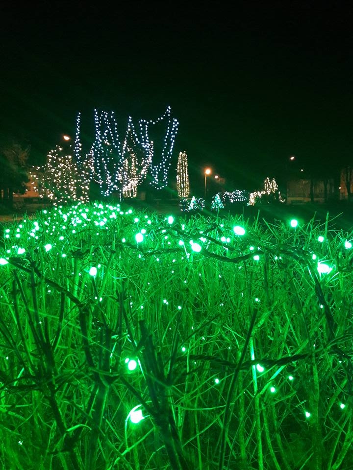 Gulbene 2016.gada Otrajos Ziemassvētkos.
Autors: Aija Konrāde