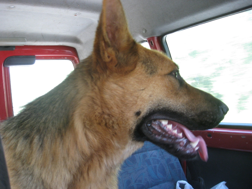 Autors: Tamāra Ulase