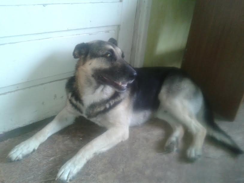 Autors: no personiskā arhīva