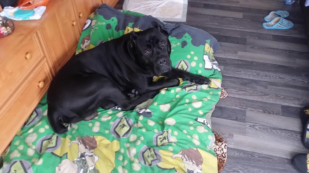 Autors: no personiskā arhīva