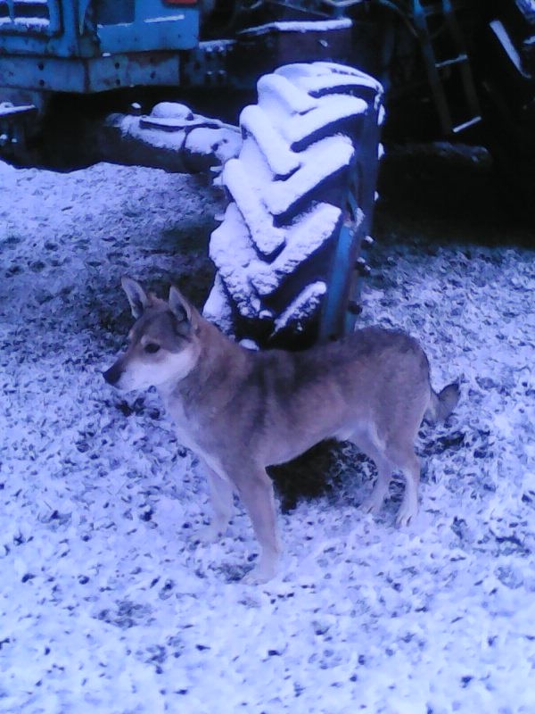 Autors: no personiskā arhīva