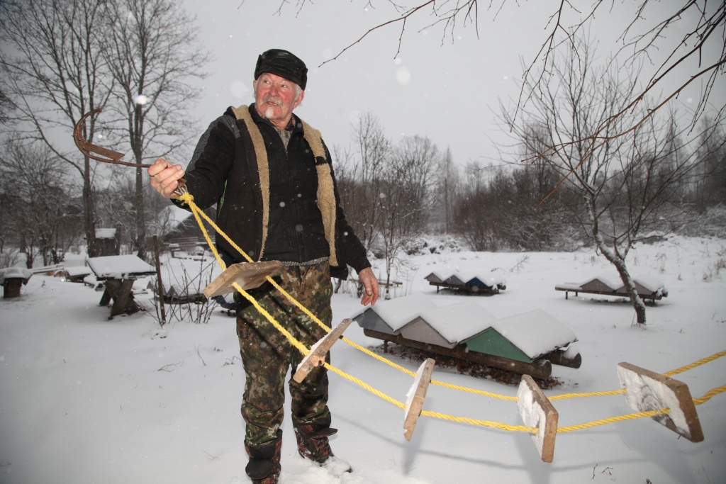 Lai būtu vieglāk saķert bišu spietus augstajos kokos, kas aug mājas apkārtnē, Kārlis Pērkons uzmeistarojis vairākas kāpnes, kuras ar āķa palīdzību uzmet koka zarā. “Augšā un lejā - īsta fizkultūra. Stāvot uz kāpnēm, kam pakāpienus iesaku izraudzīties no koka, lai neslīdētu kājas, arī mazo bišu spietam domāto stropiņu uzvelku koka zarā,” stāsta Kārlis Pērkons.
Autors: Gatis Bogdanovs