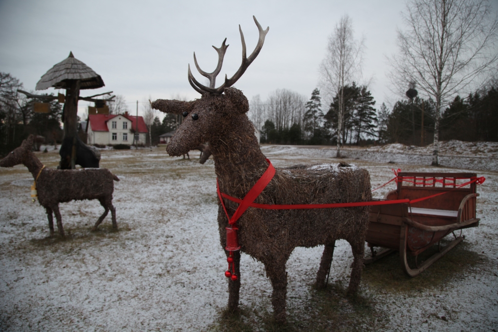 Tradicionāli katru gadu skaisti uz svētkiem ir izrotāts Lejasciems.   
Autors: Gatis Bogdanovs