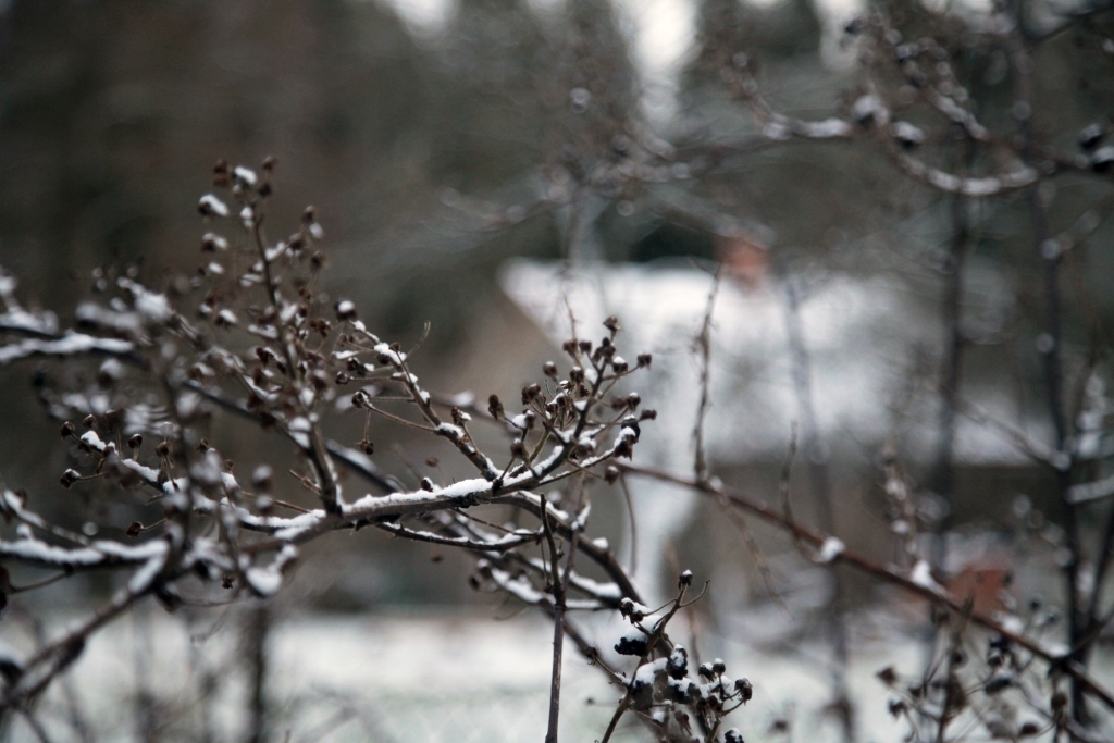 Autors: Gatis Bogdanovs