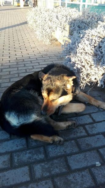 Autors: no personiskā arhīva