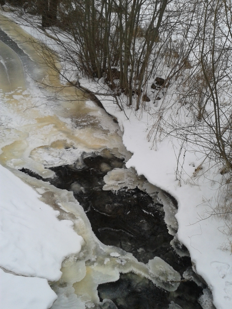 Autors: Ginta Alberte