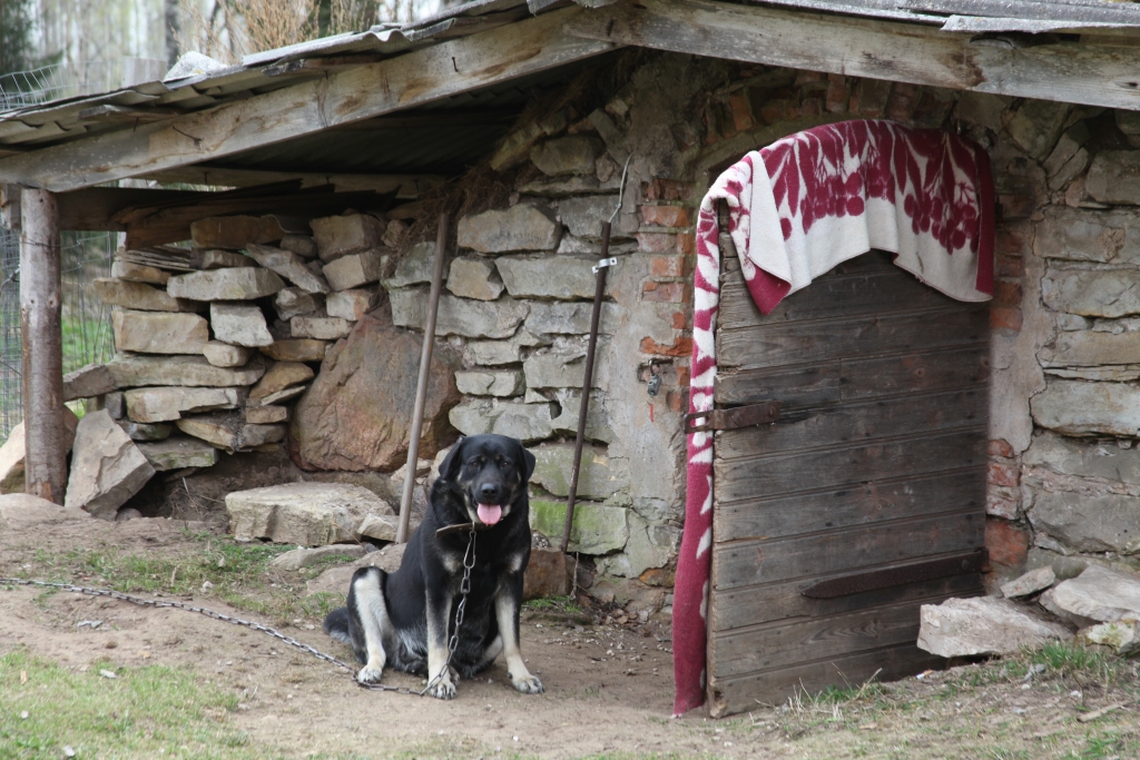 Autors: no ‘Dzirksteles” arhīva