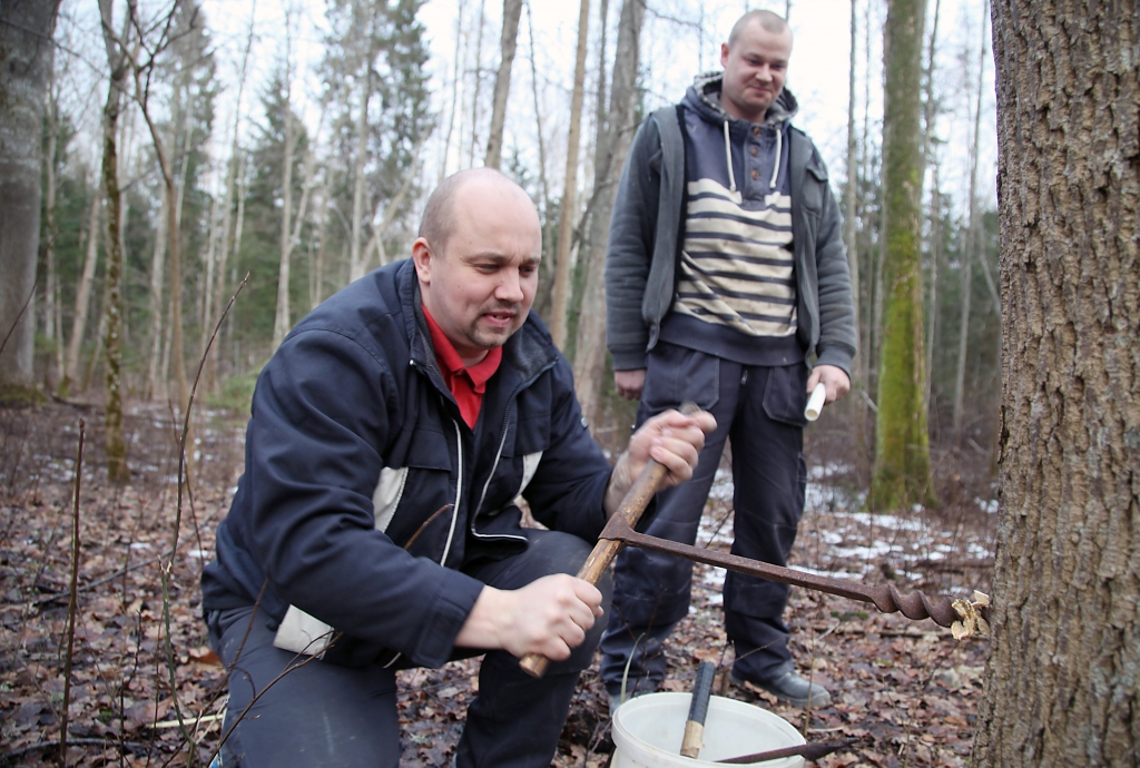 Autors: Gatis Bogdanovs