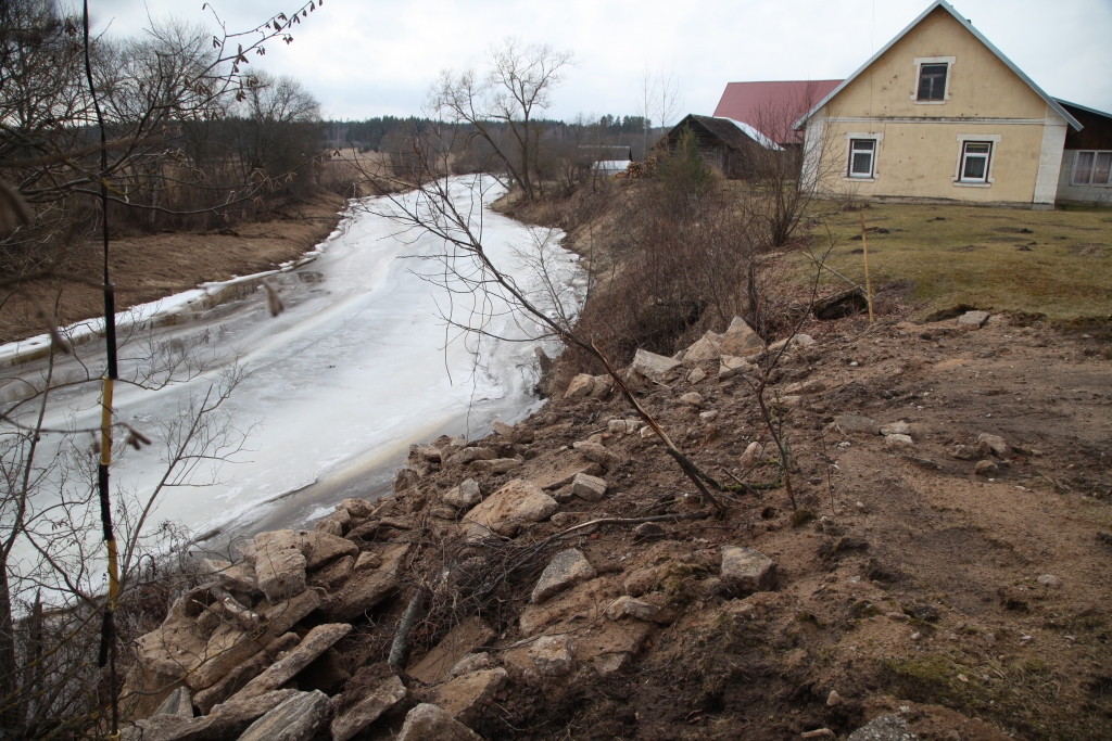 Lejasciema pagastā Gauja jau vairāk nekā divus gadu desmitus spītīgi lauž sev jaunu ceļu, kā rezultātā ir apdraudēta dzīvojamā māja “Gaujmalnieki” upes krastā, kā arī ceļš gar to kļūst arvien šaurāks, lai gan pa to pārvietojas lielās automašīnas. Lejasciema pagasta pārvalde pērn mēģinājusi situāciju glābt ar būvgružiem, bet ar to ir par maz. 	
Autors: Gatis Bogdanovs 