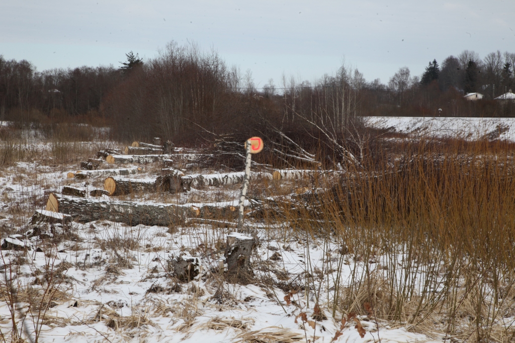 Autors: Gatis Bogdanovs