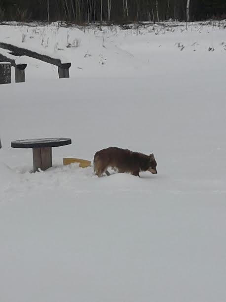 Autors: no personiskā arhīva