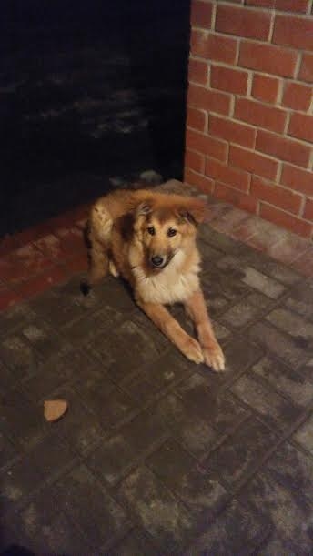 Autors: no personiskā arhīva