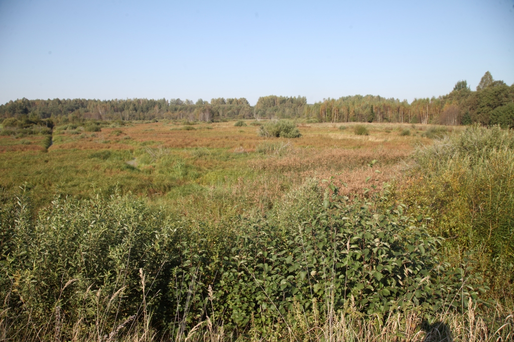 Autors: ilustratīvs