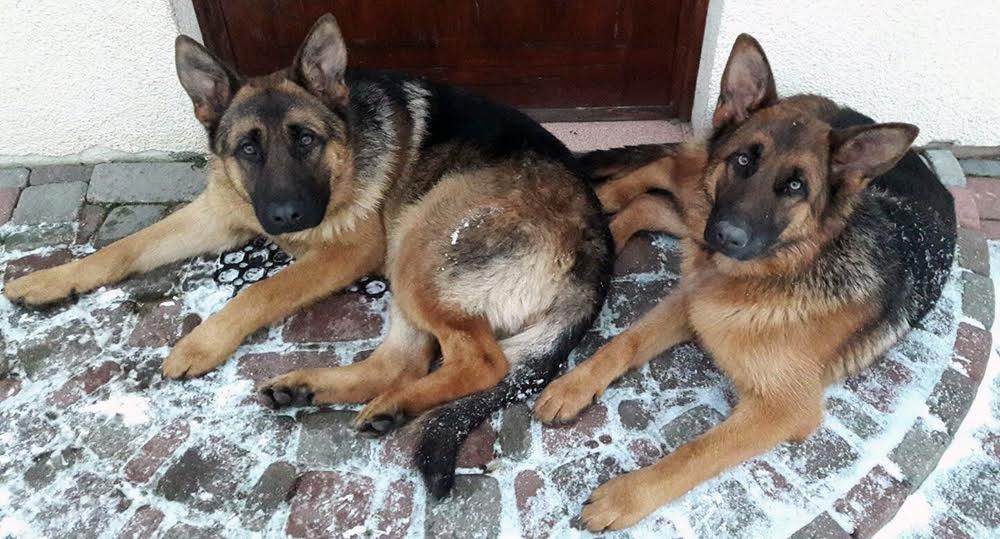 Autors: no personiskā arhīva