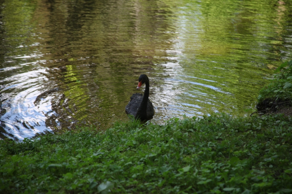 Autors: no Dzirksteles arhīva